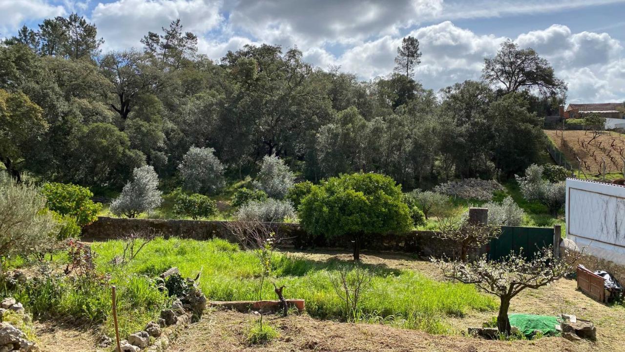 Casalinho In Portugal Country House トマール エクステリア 写真