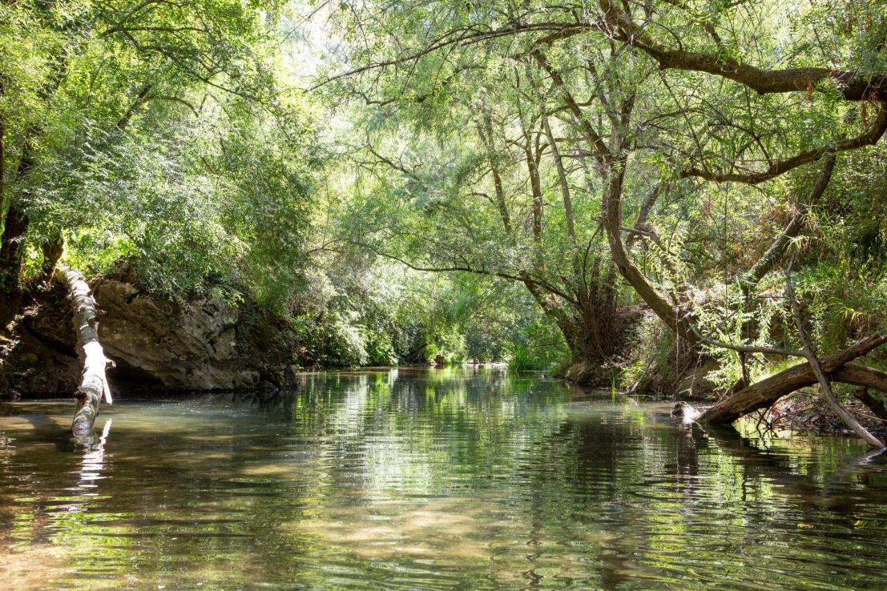 Casalinho In Portugal Country House トマール エクステリア 写真